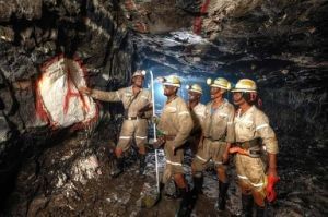 Agente auxiliar de carboximetilcelulose sódio CMC de grau de mineração